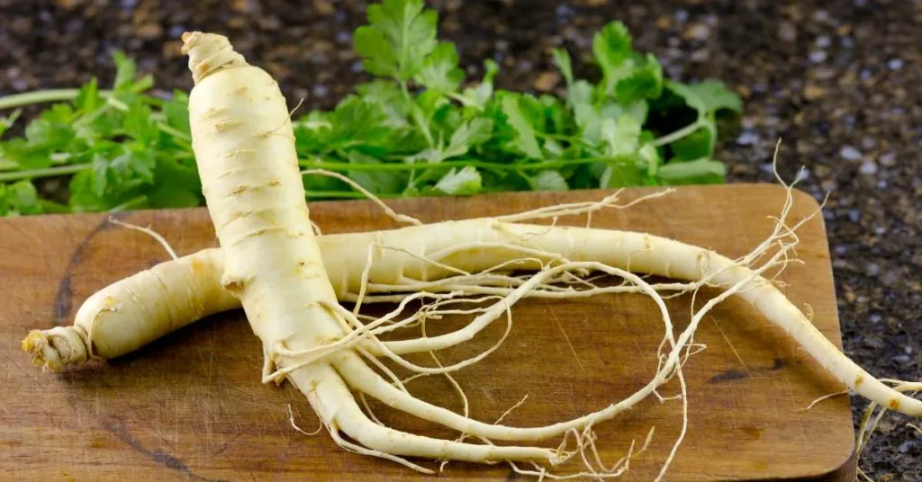 Ginseng e resistencia contra doencas