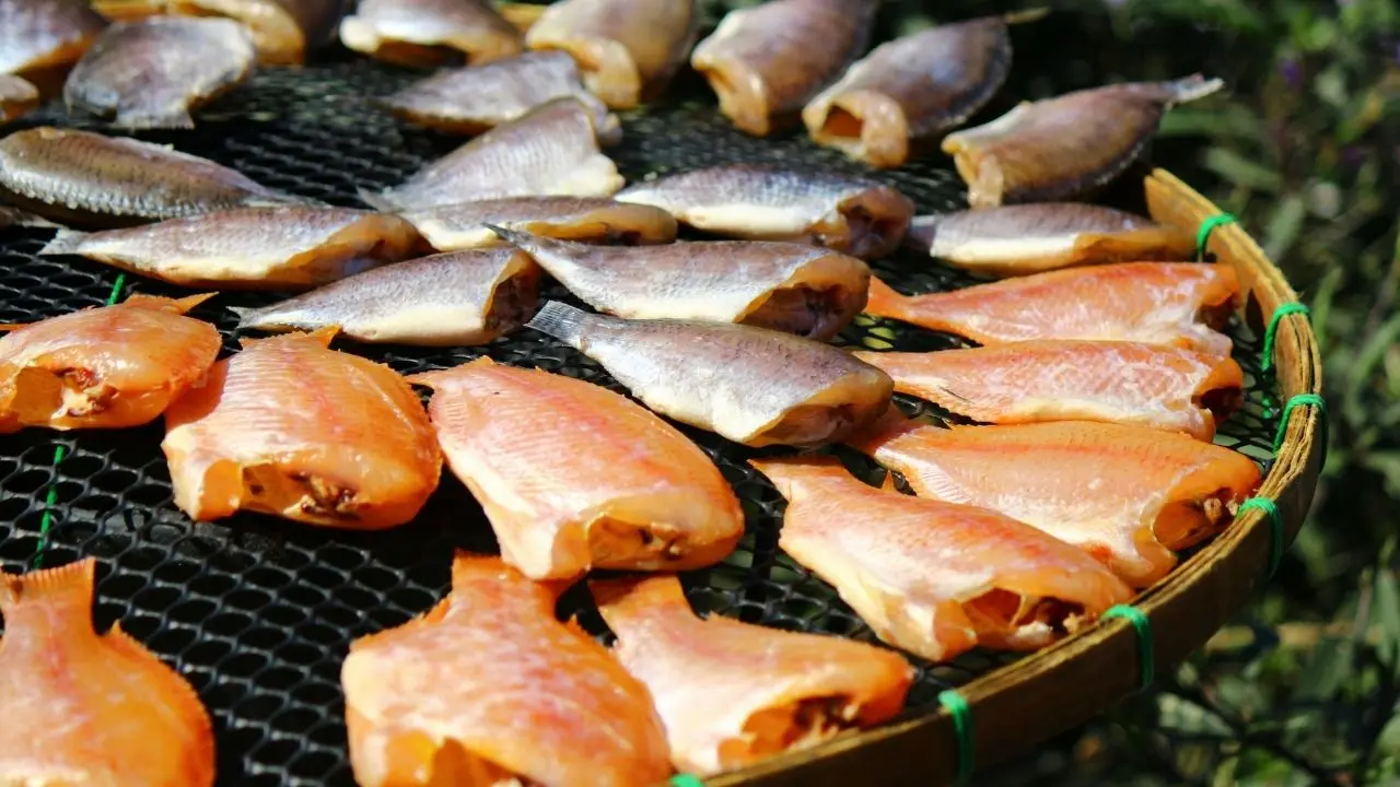 Nutricionistas revelam os peixes mais saudáveis e livres de metais pesados