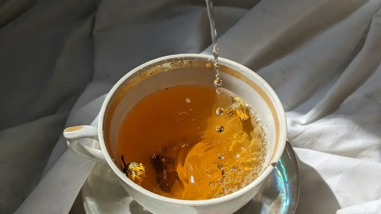 Beber chá todos os dias pode transformar sua saúde segundo especialistas