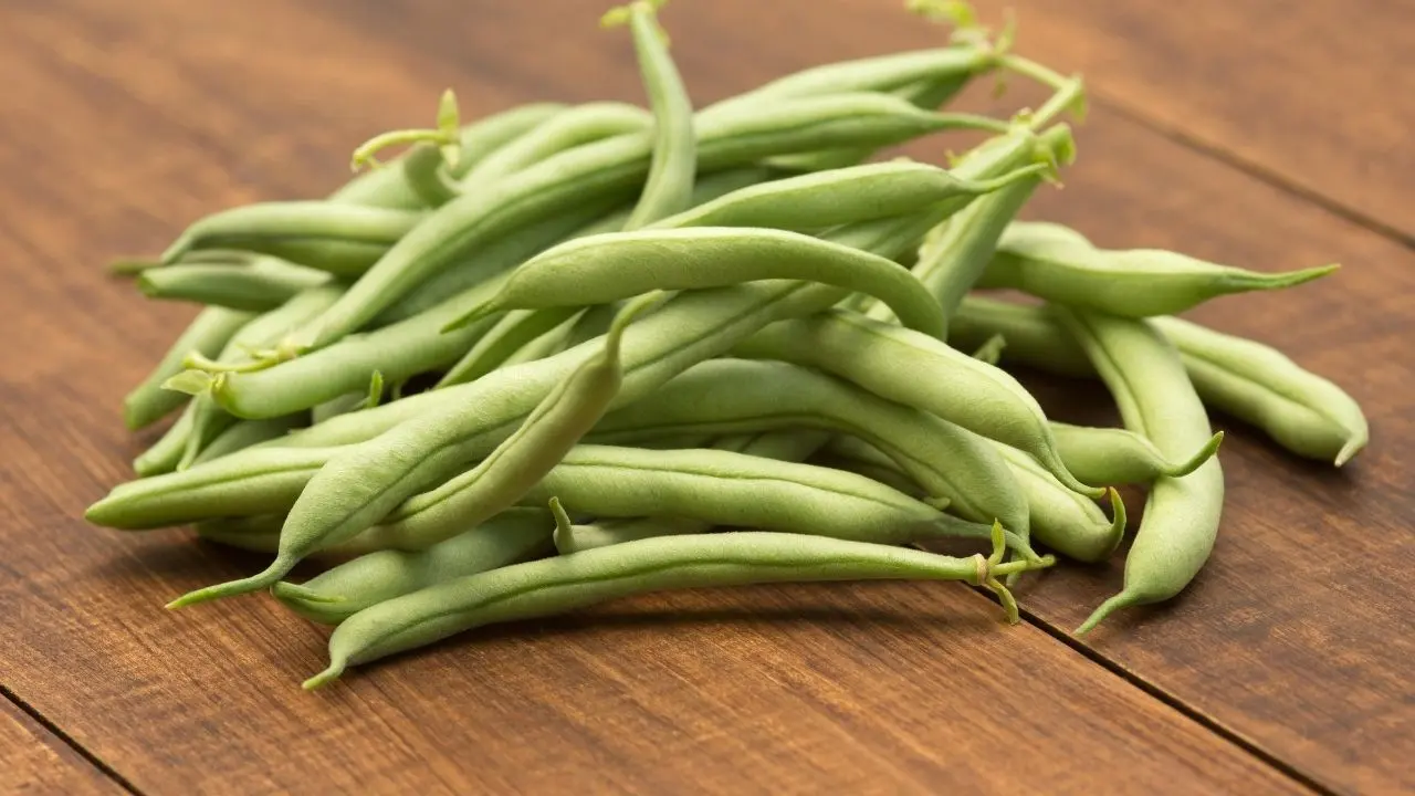 Guia completo para plantar e cuidar feijão lima no seu quintal