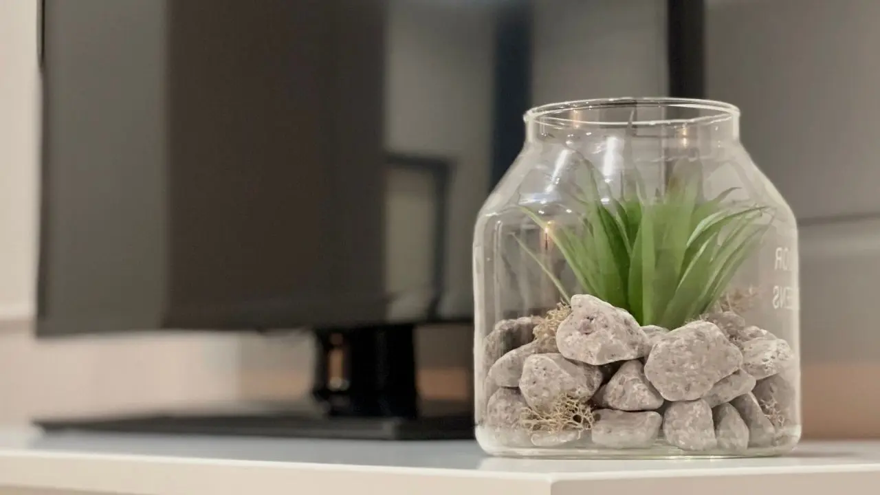 Você deve colocar pedras no fundo do vaso? Veja o que um horticultor diz